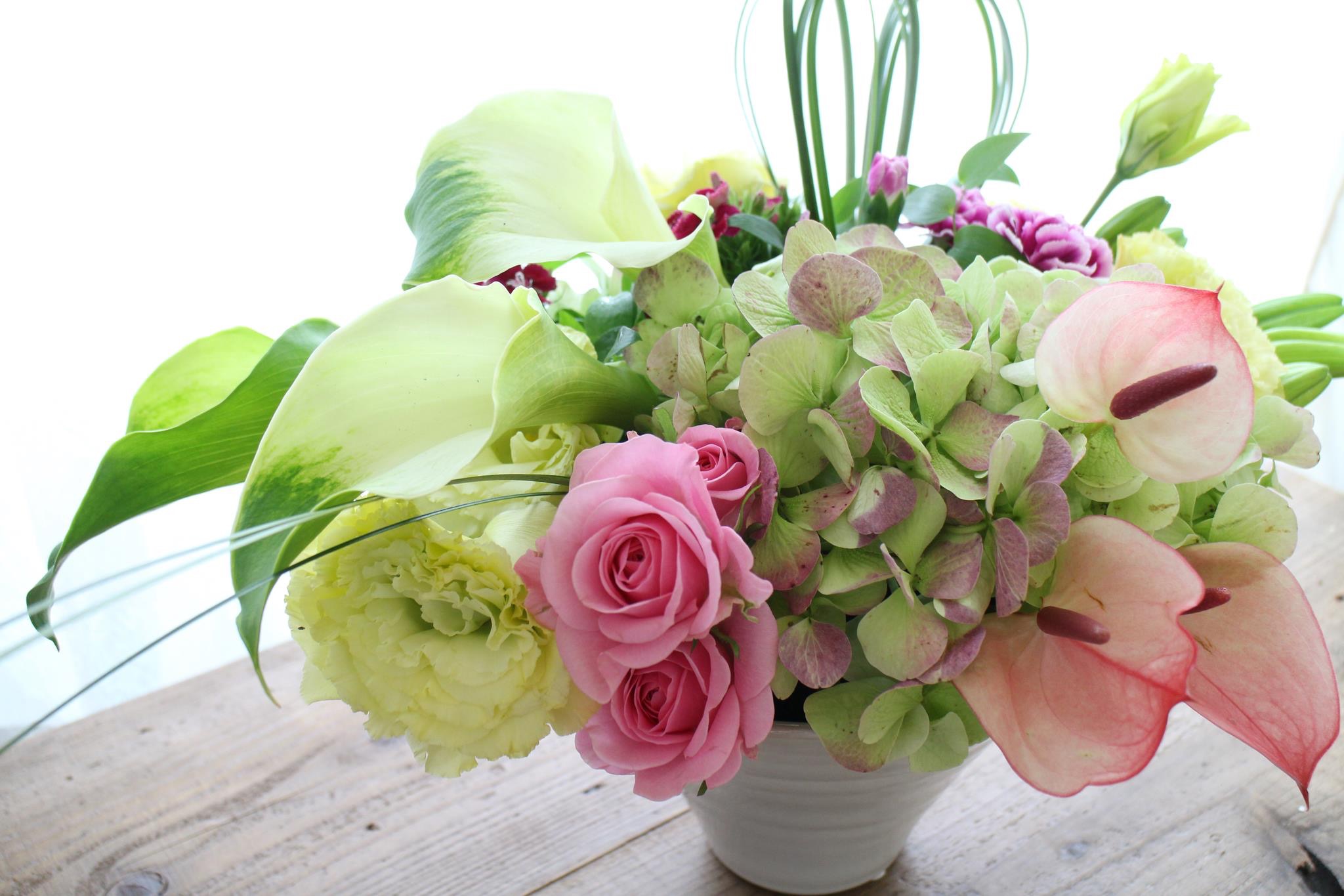 Flower Gift 花とみどりと茶色い犬 Flower Gift 花とみどりと茶色い犬